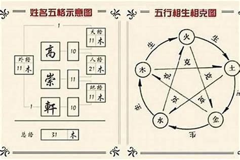 羽的名字|羽字起名寓意、羽字五行和姓名学含义